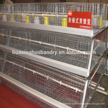 Best selling and professional design baby rearing cage